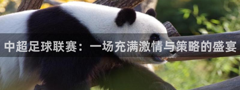 世界杯预选赛赛程表：中超足球联赛：一场充满激情与策略的盛宴