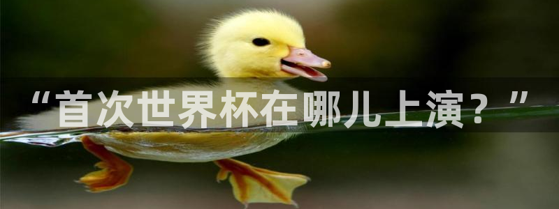 2026足球世界杯赛程时间表：“首次世界杯在哪儿上演？”