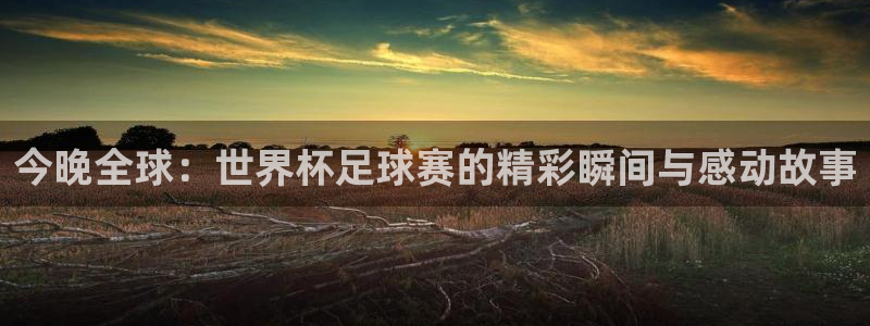 免费足球比赛直播高清：今晚全球：世界杯足球赛的精彩瞬间与感动故事