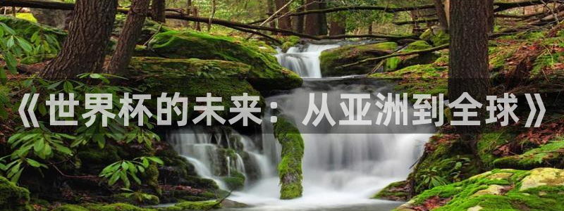 世界杯在线直播：《世界杯的未来：从亚洲到全球》