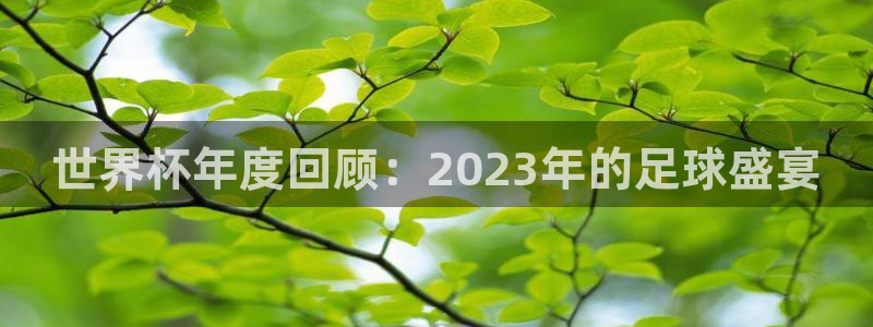 世界杯球队：世界杯年度回顾：2023年的足球盛宴
