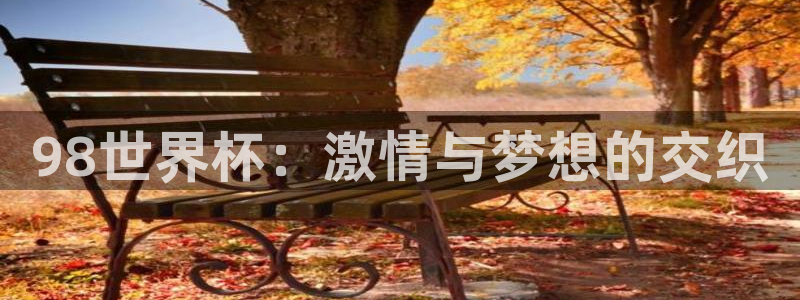 世预赛直播：98世界杯：激情与梦想的交织