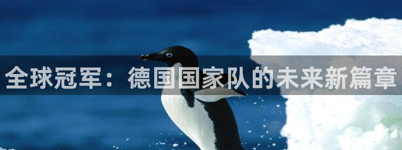 欧洲世预赛赛程表：全球冠军：德国国家队的未来新篇章