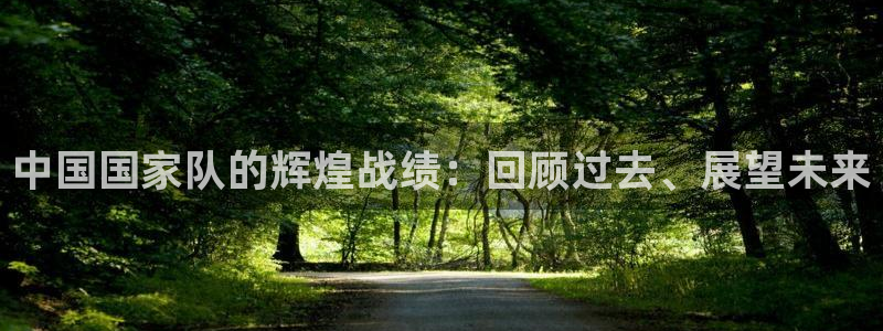 世界杯直播观看：中国国家队的辉煌战绩：回顾过去、展望未来