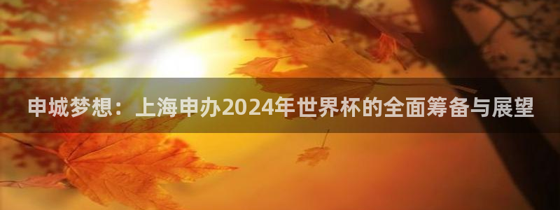 足球世界杯赛程：申城梦想：上海申办2024年世界杯的全面筹备与展望
