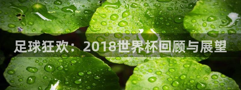 世界杯决赛预测：足球狂欢：2018世界杯回顾与展望