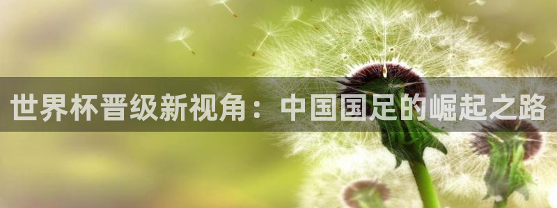 世界杯欧洲预选赛：世界杯晋级新视角：中国国足的崛起之路