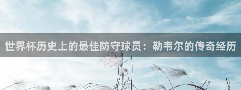 2026世界杯赛程时间表最新：世界杯历史上的最佳防守球员：勒韦尔的传奇经历