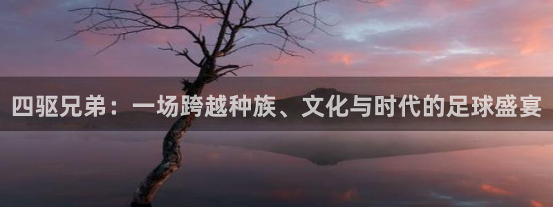 美洲杯直播：四驱兄弟：一场跨越种族、文化与时代的足球盛宴